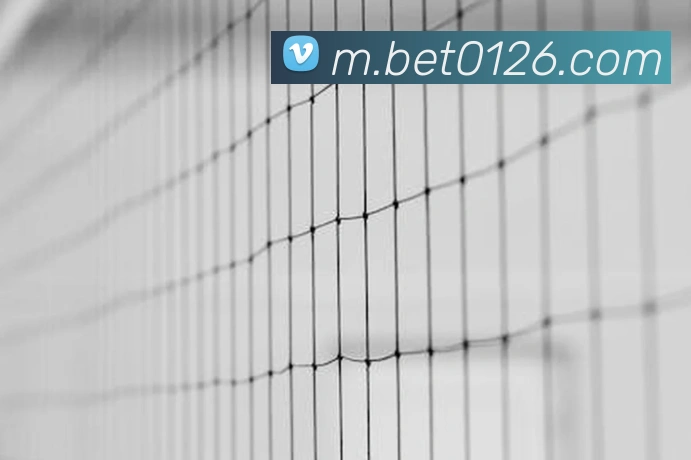 bet365com服务体系
